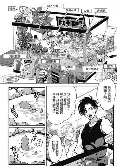 第34頁圖