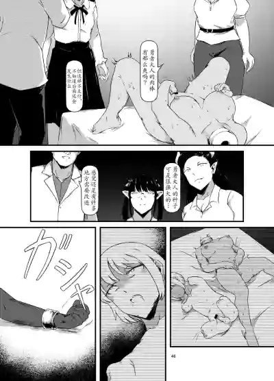 第46頁圖