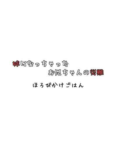 第30頁圖