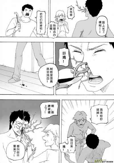 第226页图