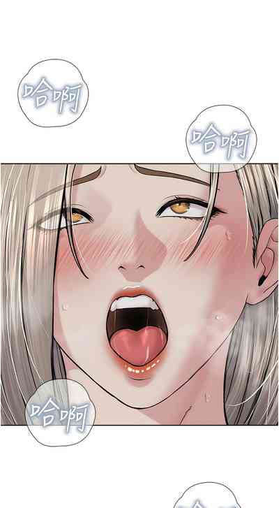 第402頁圖