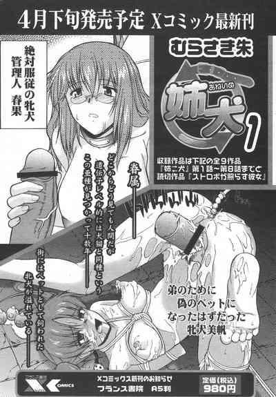 第218頁圖