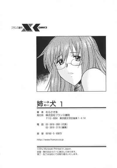 第242頁圖