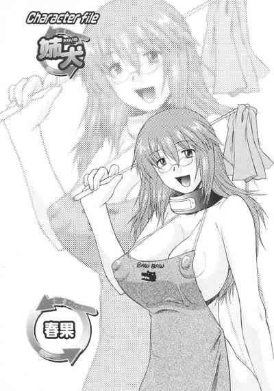 第26頁圖