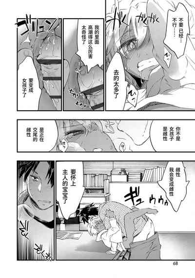 第66頁圖