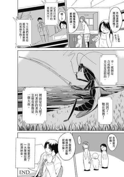 第178頁圖