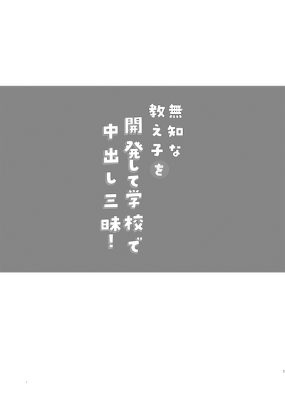 第2页图