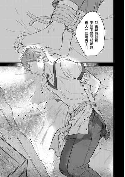 第510頁圖