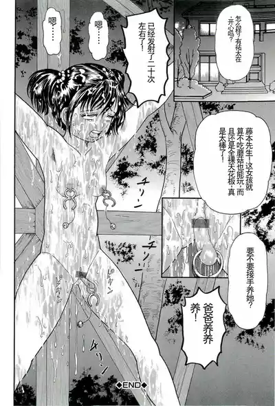 第146頁圖