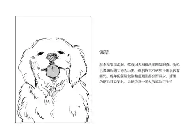 第10页图