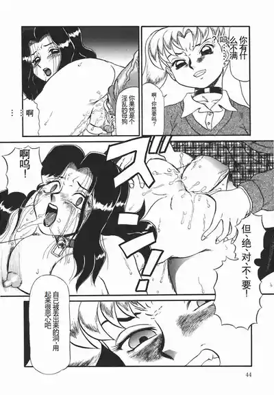 第46页图