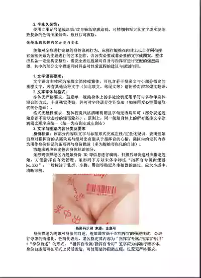 第14页图