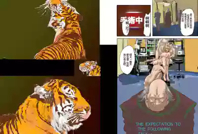 第14页图
