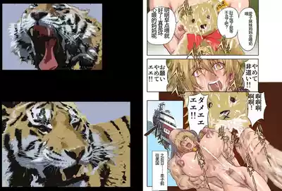 第14页图