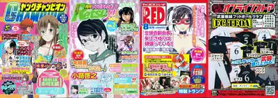 第214頁圖
