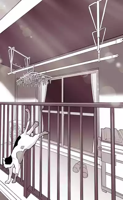 第270頁圖