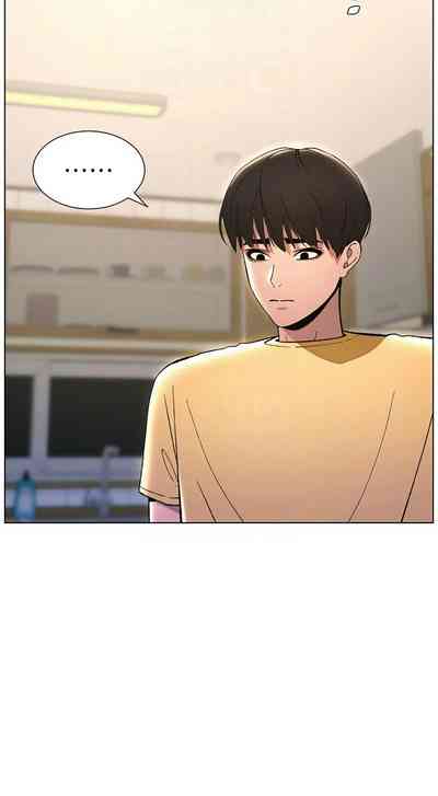 第594頁圖