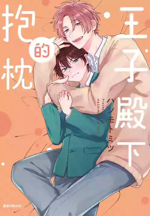 王子殿下的抱枕 封面 - HaSM.cc