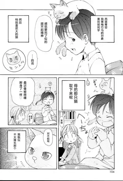 第106頁圖