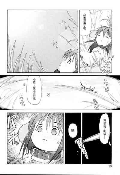 第42頁圖