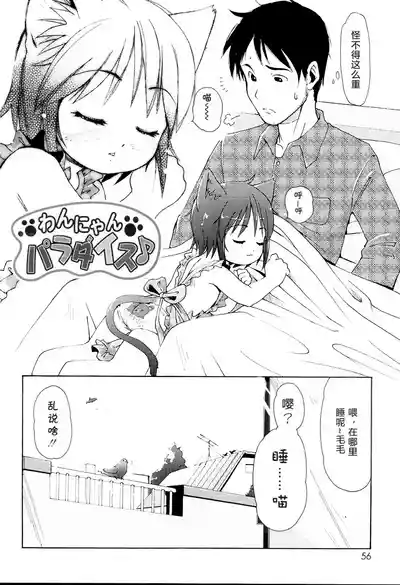 第58頁圖