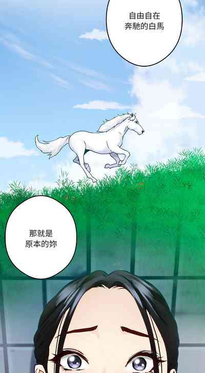 第50頁圖