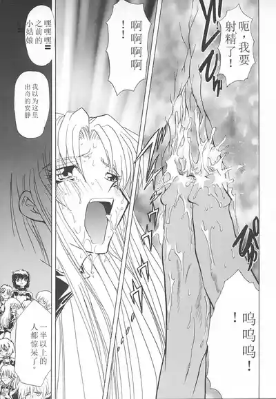 第146頁圖