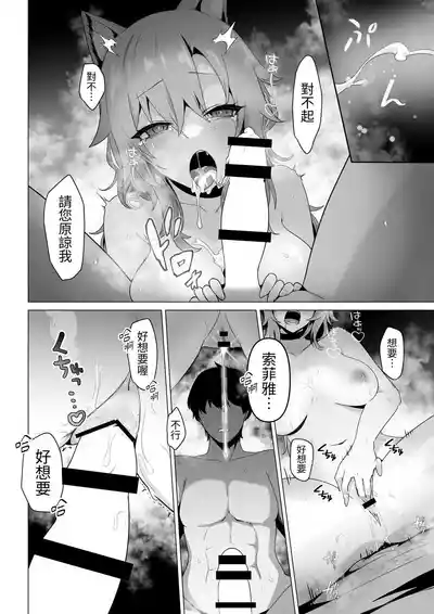 第22页图