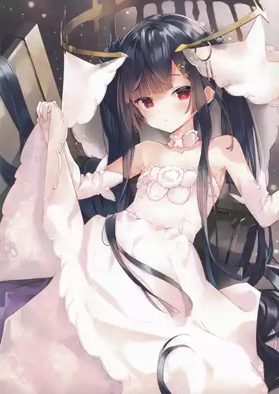 第2頁圖