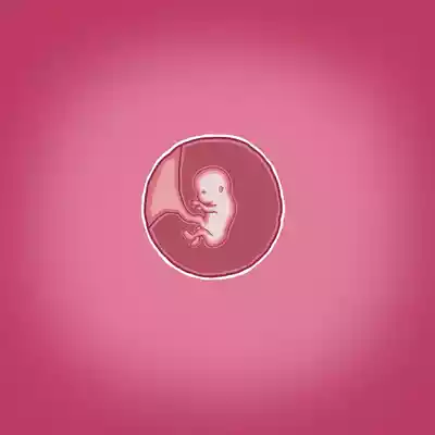 第66頁圖