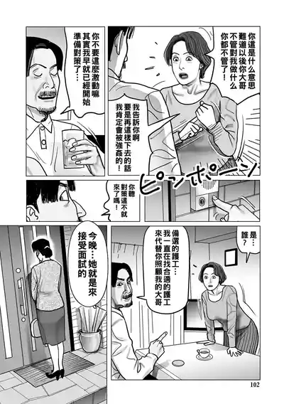 第102页图