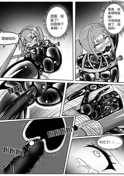 第294页图