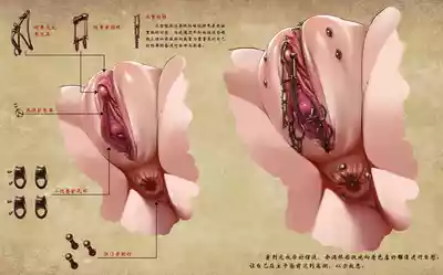 第26頁圖