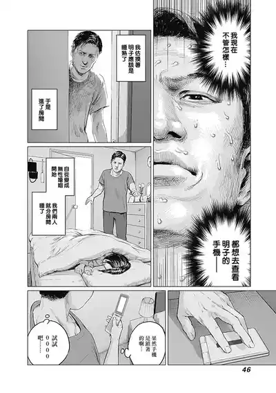 第250頁圖
