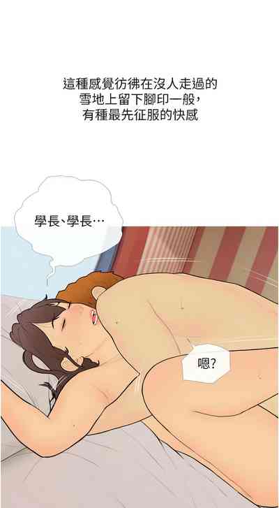 第294頁圖
