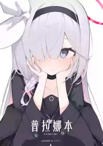 第2页图