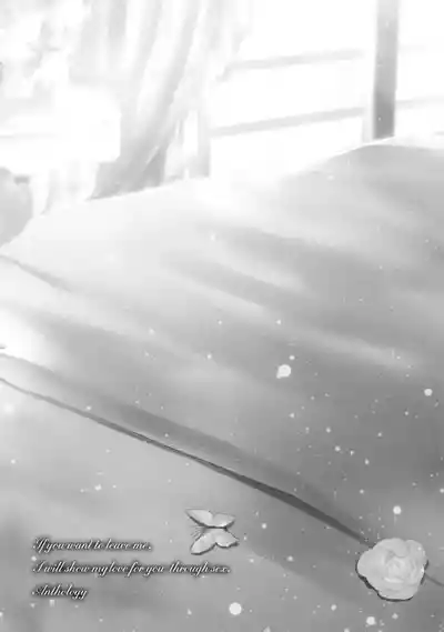第34頁圖