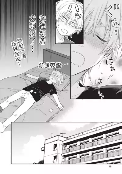 第46頁圖