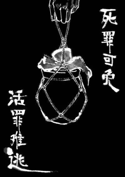 第258页图