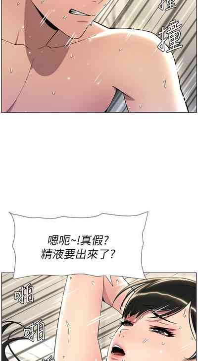 第538頁圖