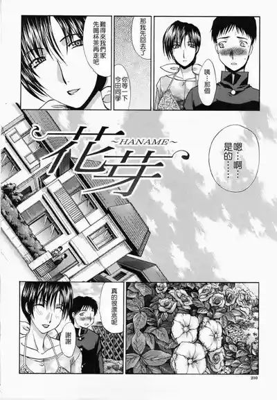 第214頁圖