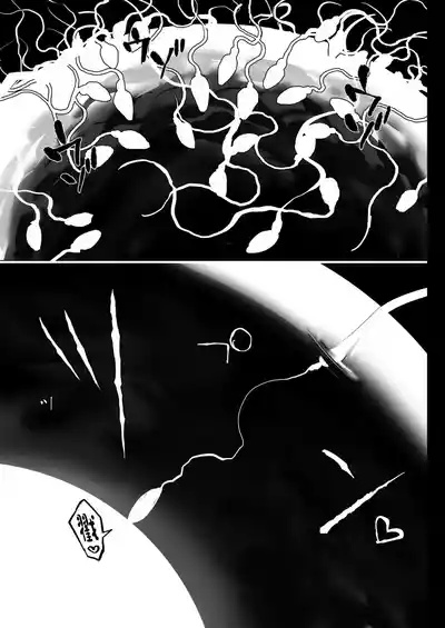 第66頁圖