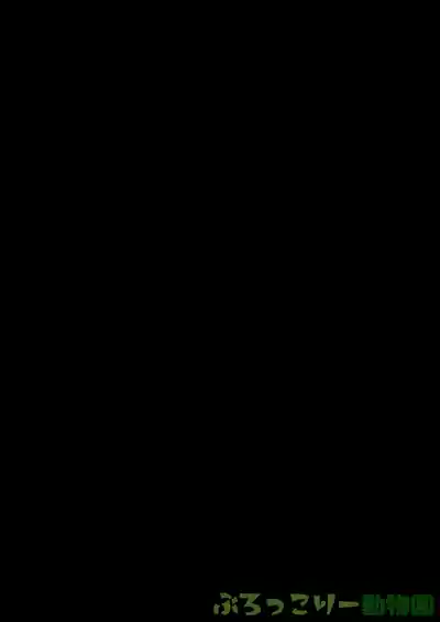 第54頁圖