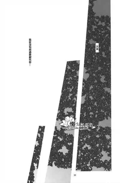 第30頁圖