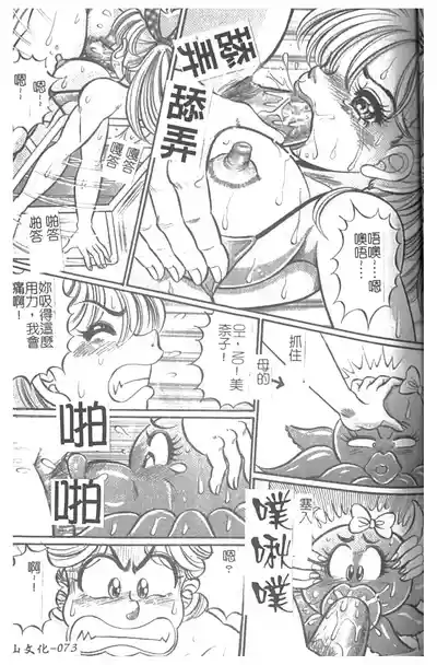 第74頁圖