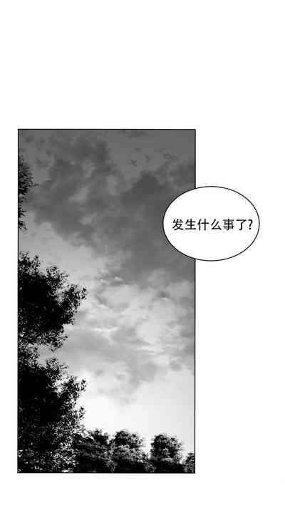 第334頁圖