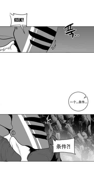第446頁圖