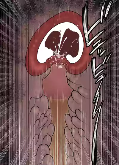 第66頁圖