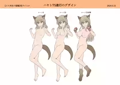第42页图