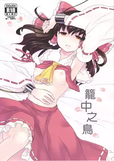 第2页图